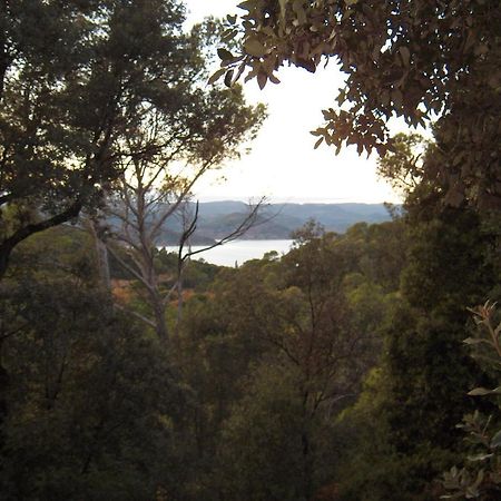 La Genestiere Bed & Breakfast Clermont-lʼHérault Екстериор снимка
